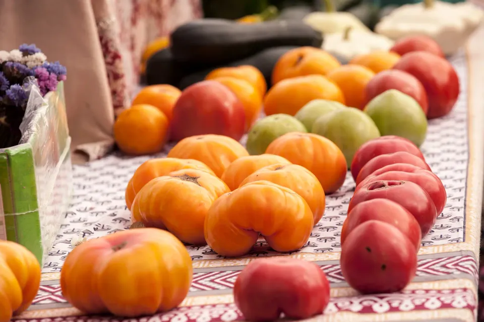 A table of multicolored fresh tomatoes for sale.